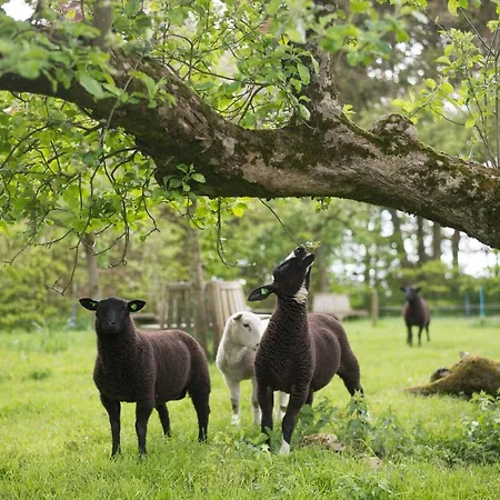 B&B Buitenplaats Natuurlijk Goed-3
